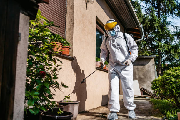 Wasp Removal Services in Footville, WI