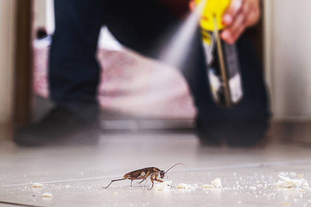 Best Wasp Removal Services  in Footville, WI