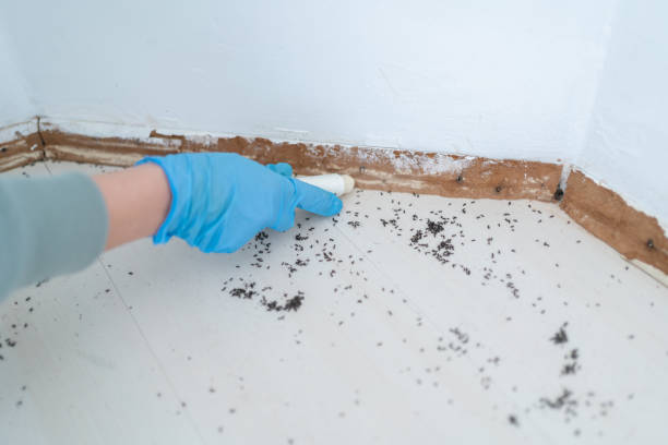 Best Bed Bug Extermination  in Footville, WI