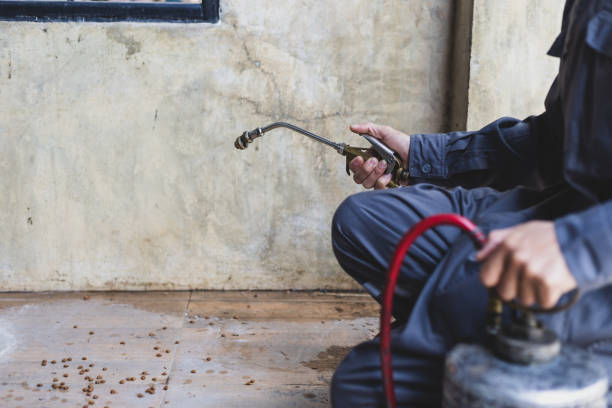 Best Emergency Pest Control  in Footville, WI